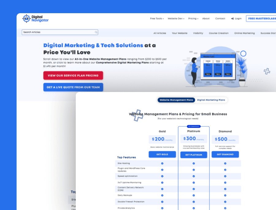 image-TDN-1 A professional digital marketing and tech solutions website featuring service plans and pricing for small businesses. The site highlights digital marketing strategies, website management, and tech sup.